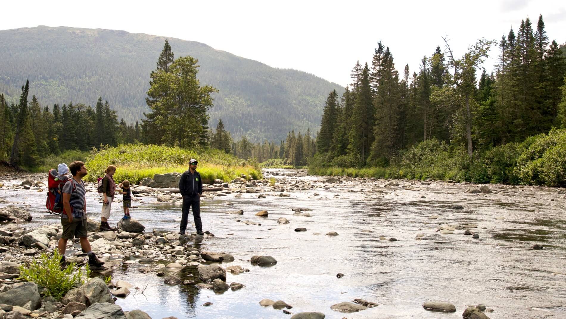 Gaspesie Nationalpark